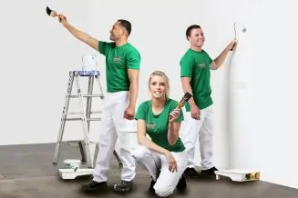 Painters Auckland